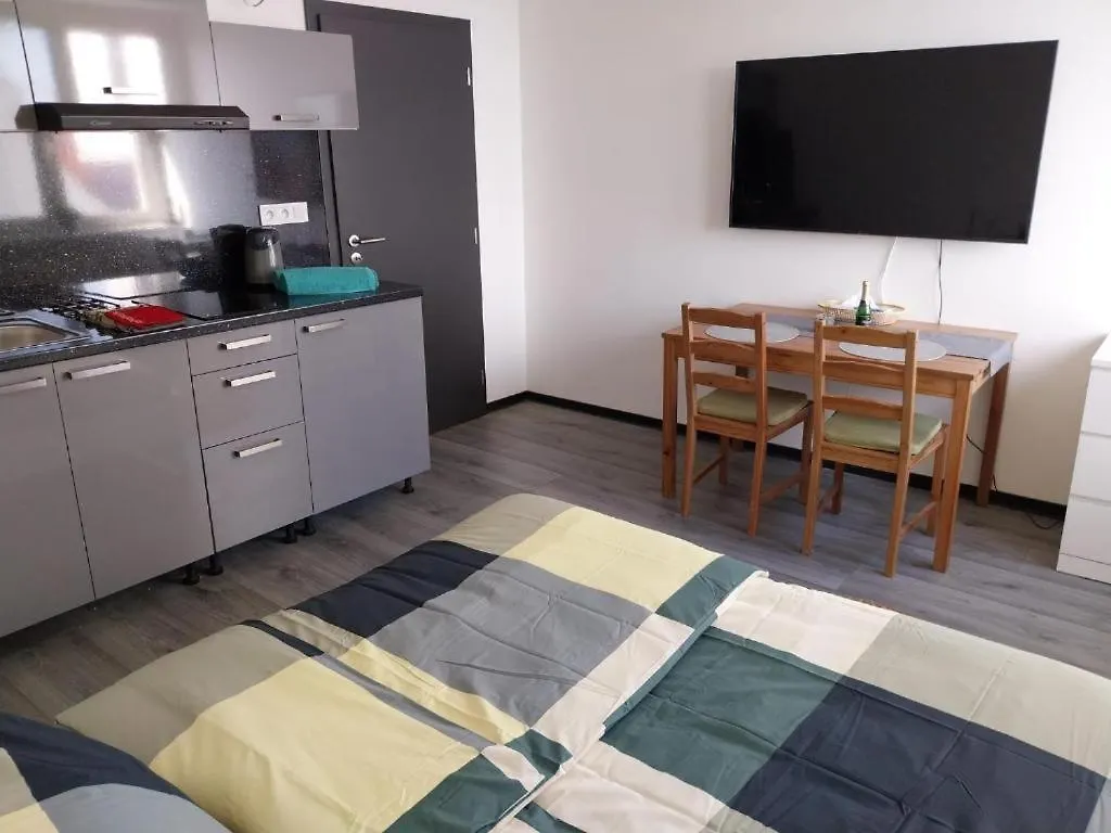 City Center Apartments - Moderna Brno Rimske Namesti V 체코